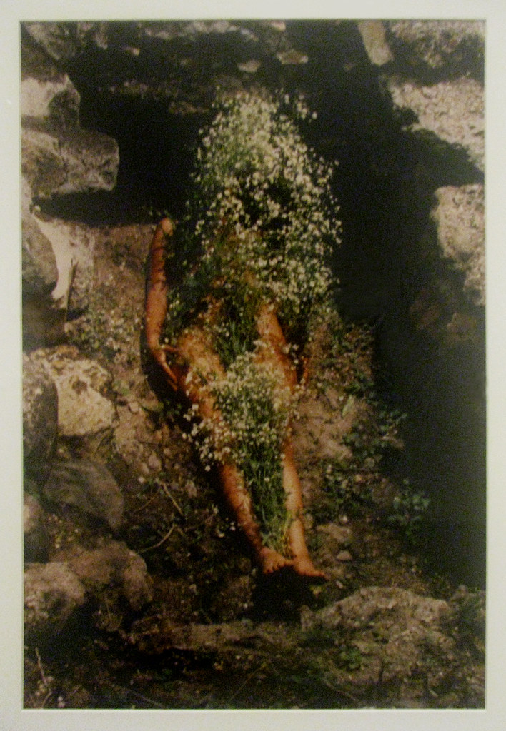 In the Shadows of Art: Ana Mendieta’s Enduring Legacy and the Controversy Surrounding Carl&nbsp;Andre