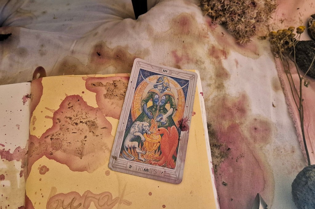 A Look at “Blood of the&nbsp;Roots”